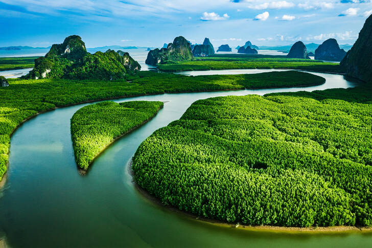 Mangrovenwälder in Thailand