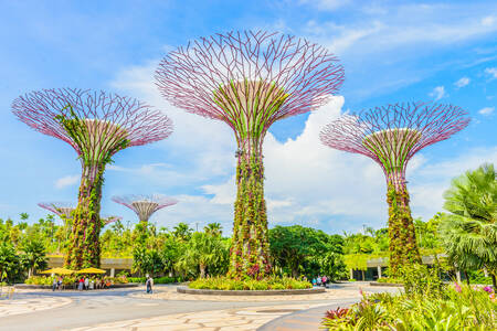 Zahrady u zátoky, Singapur