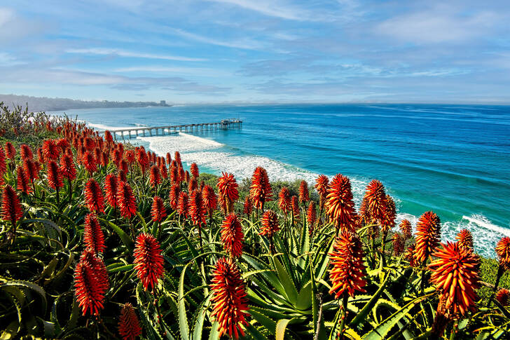 Debarcaderul Scripps din La Jolla