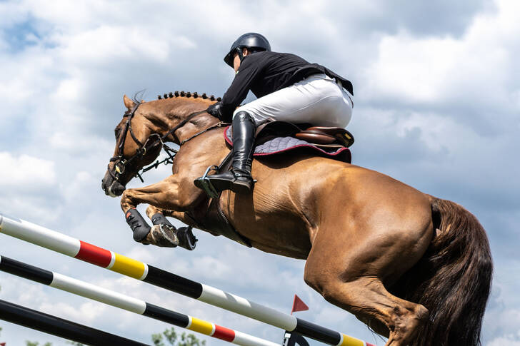 Equestrian sports