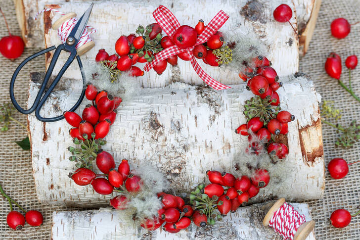 Rosehip wreath