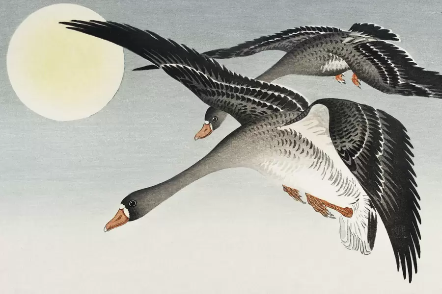 Ohara Koson: "Ptaki podczas pełni księżyca"
