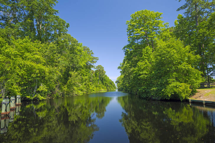 A canal in the Great Dismal Swamp National Wildlife Refuge