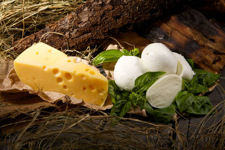 Cheese on wooden background