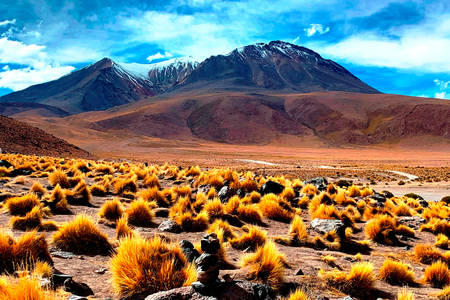 Planalto altiplano