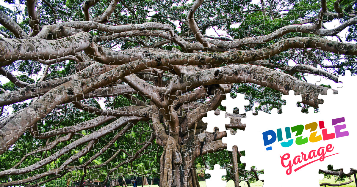 Royal Botanic Gardens of Peradeniya Jigsaw Puzzle (Countries, Sri Lanka