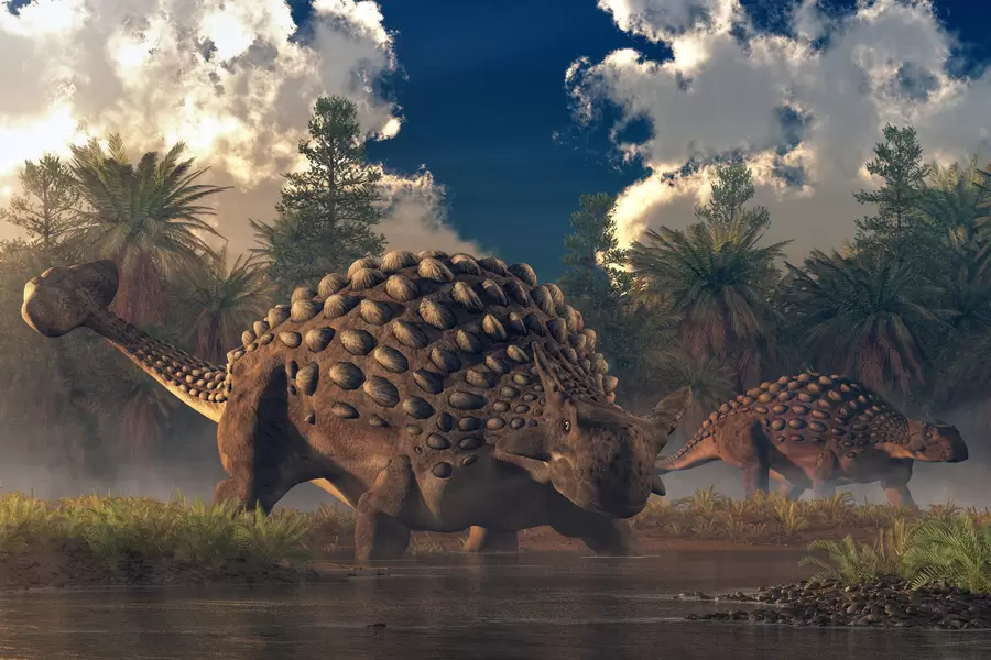 Ankylosaurus