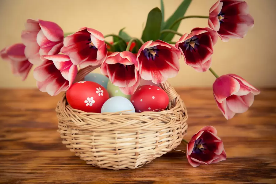Telur Paskah dan bunga tulip di atas meja