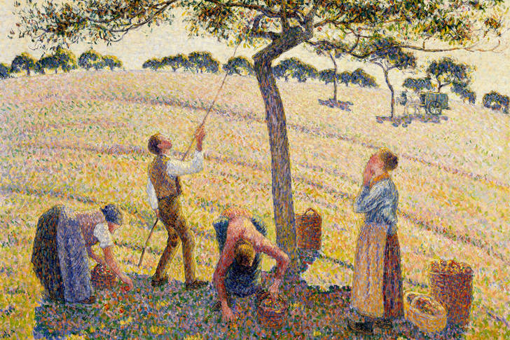 Camille Pissarro: "Picking apples in Eragny-sur-Epte"