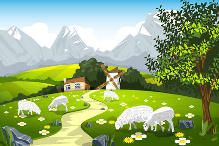 Owce na farmie