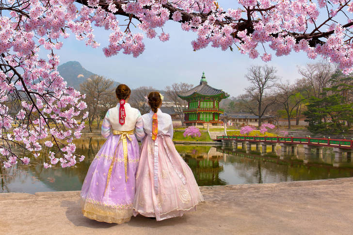 Cherry blossom, South Korea