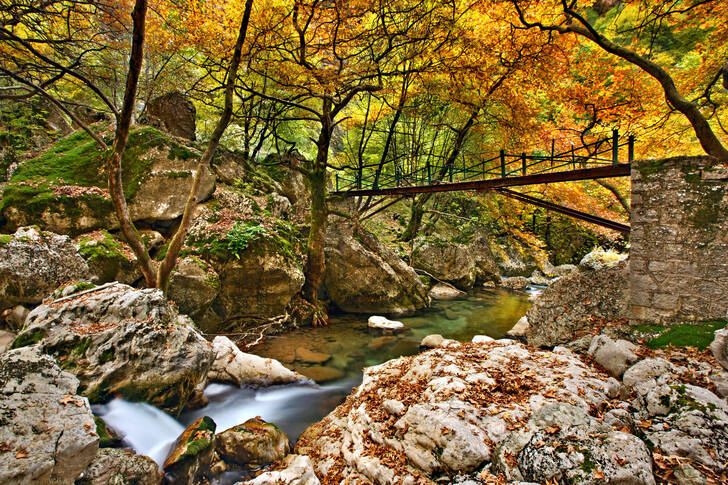 Podzimní les v Řecku