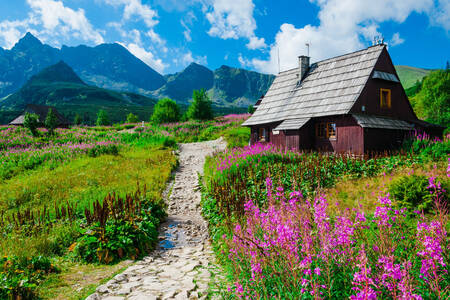 Tatras'taki ev