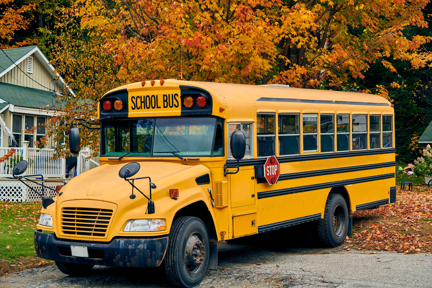 School bus Jigsaw Puzzle (Technics, Public transport) | Puzzle Garage