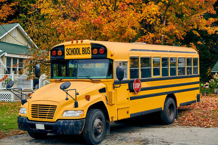 Okul otobüsü