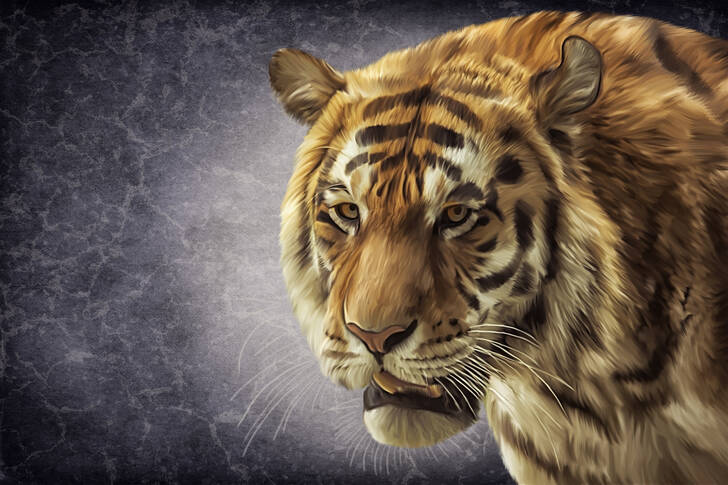 Portret bengalskog tigra