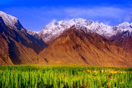 Valle en las montañas de Pakistán