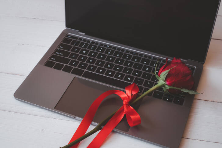Trandafir pe laptop