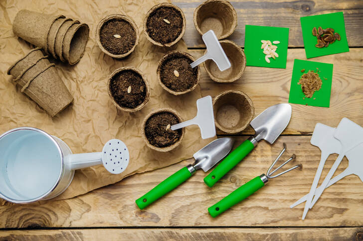 Seeds and gardening tools