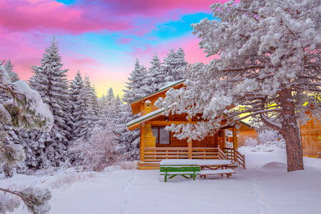 Casa em uma floresta nevada
