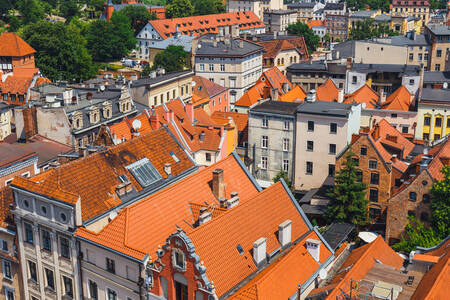 Historiska byggnader i staden Toruń
