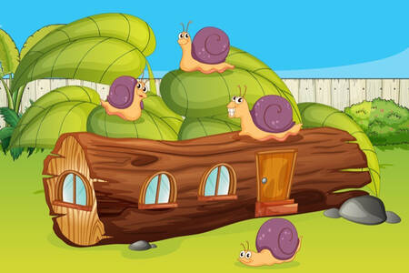 Snails on a log