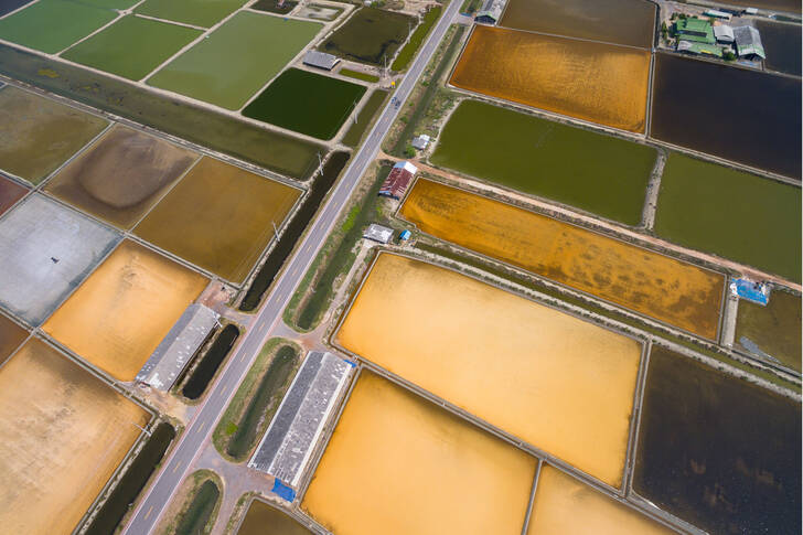 Vista aérea de una granja de sal