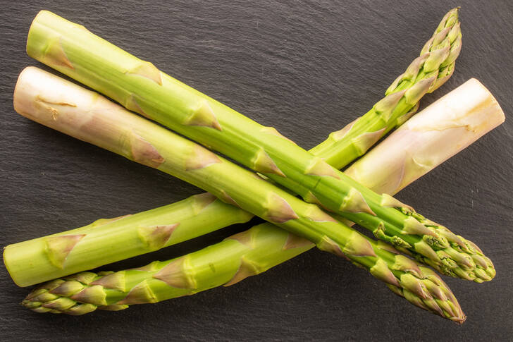 Young asparagus