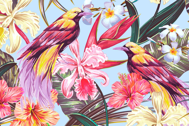 Illustration with birds of paradise