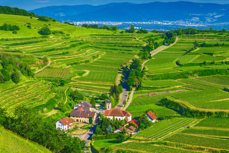 Fjellandskap i Schwarzwald