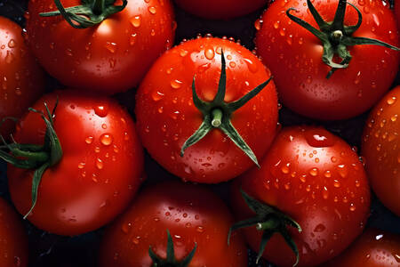 Tomaten mit Wassertropfen