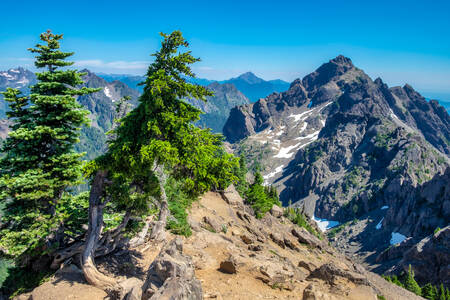 Parque Nacional Olympic, EUA