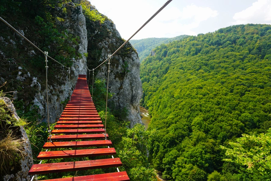 Hangbrug in de bergen van Roemenië