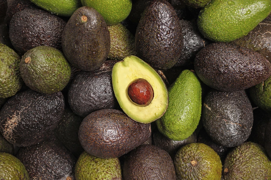 Hass avokado
