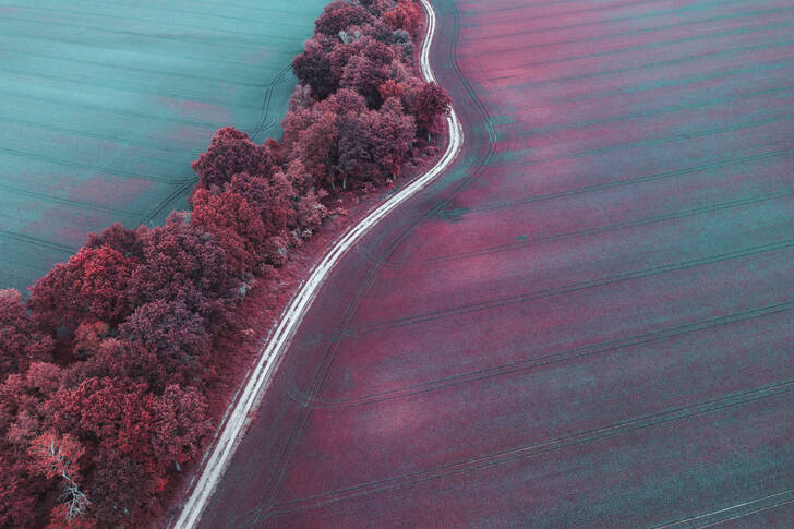 View of the road and fields