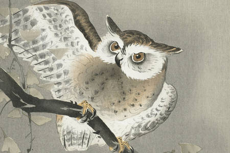 Ohara Koson: "Long-eared owl in ginkgo"