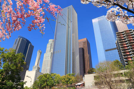 Arquitetura de los angeles
