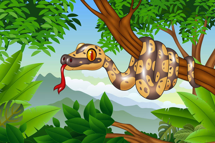 Boa constrictor on a tree