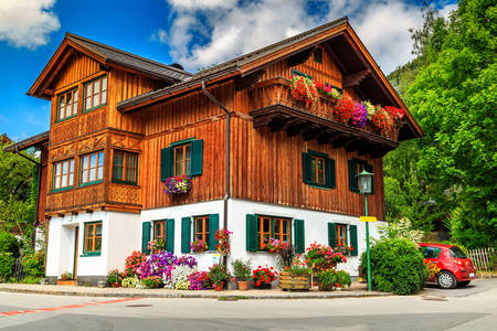 Alpine wooden house
