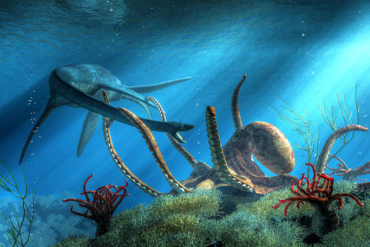 A giant octopus caught a Styxosaurus