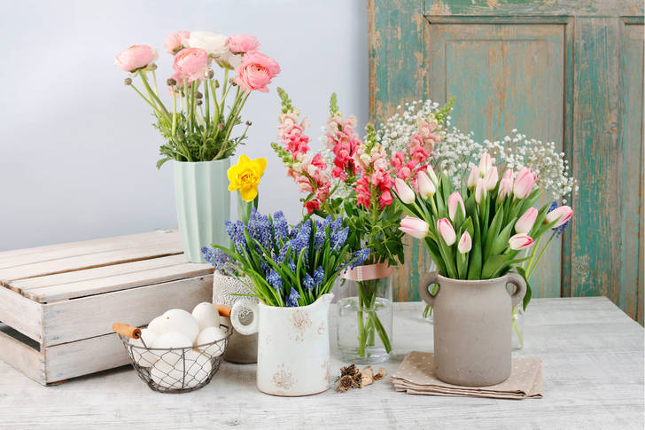 Spring flowers on the table