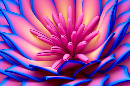 Bicolor lotus