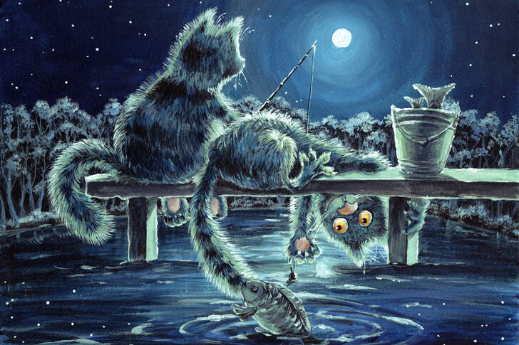 Mačky na rybárskom výlete