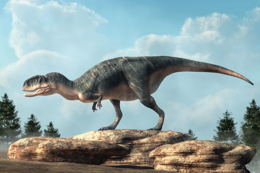Chenanisaurus sur les rochers