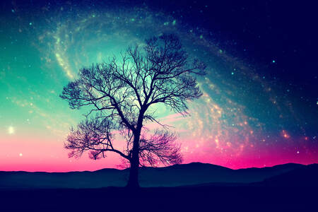 Un árbol sobre un fondo de estrellas.