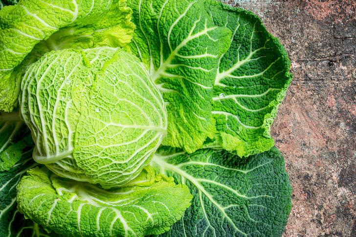 Сочная зеленая капуста