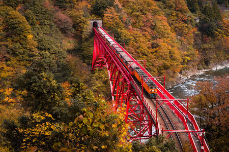 Kurobe Gorge'daki demiryolu köprüsü