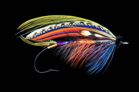 Fly for catching Atlantic salmon