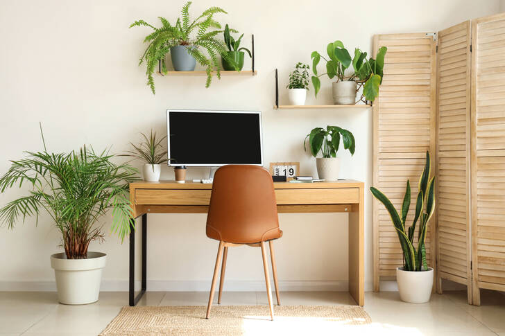 Interior del lugar de trabajo