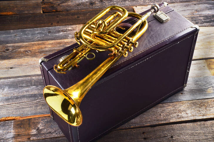 Antique Brass Trumpet